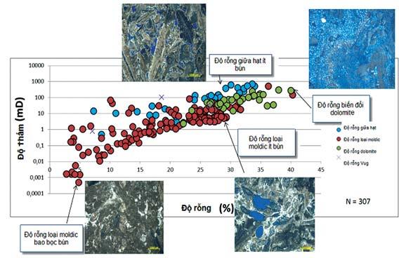 thẩm lượng (B, C) ở khu vực phía Nam bể Sông Hồng. Tổng hợp, so sánh các kết quả mẫu lõi cơ lý đá và phân tích thạch học để xây dựng quan hệ độ rỗng - độ thấm.