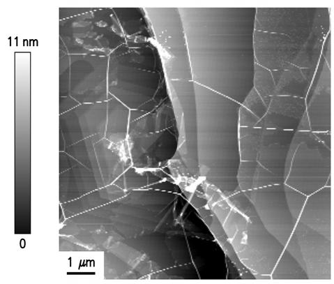 FIG 5. AFM image for graphene on the C-face, sample N2.