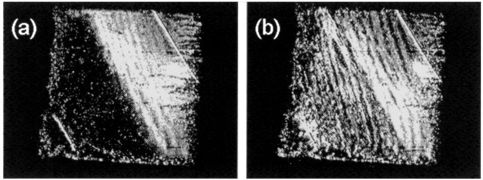 FIG. 4. The penetration of SCW into a shadow area for nonplanar configuration. Both images viewed in diffracted He- Ne laser beam: (a) out of resonance; (b) in resonance.