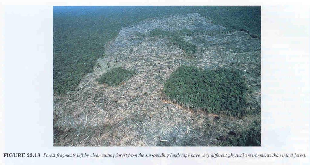 Deforestation, in the tropics