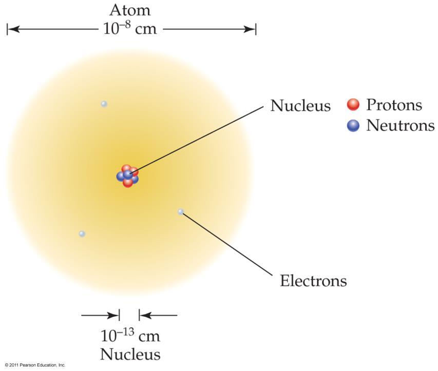 Rutherford Model of the Atom Rutherford proposed a new model of the atom: The negatively charged electrons are distributed around a positively charged nucleus.