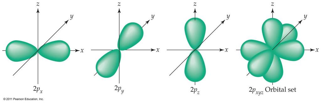 Shapes of p Orbitals Recall that there are three different p sublevels. All p orbitals have dumbbell shapes.