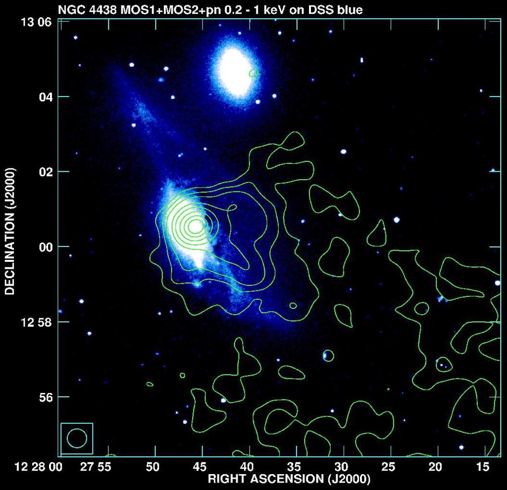 M86 group: NGC 4438 Weżgowiec et al.