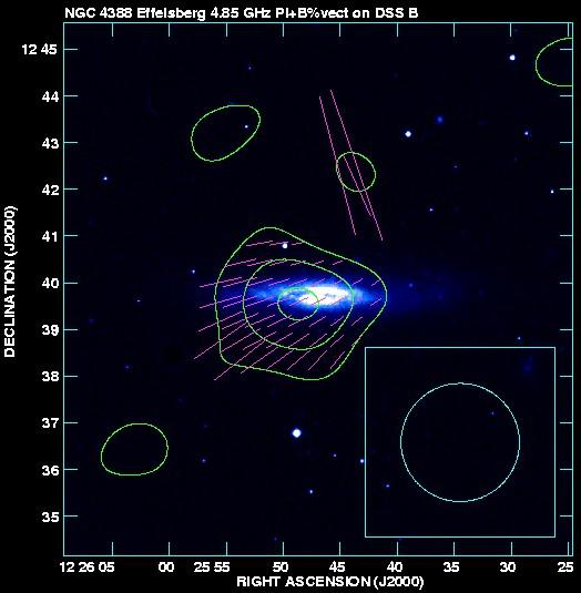 M86 group: NGC 4388 Weżgowiec et al. 2007, A&A, 471,93 Weżgowiec et al.
