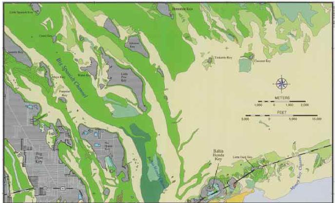 Figure 1 A map showing benthic habitats near Big Pine Key Florida.