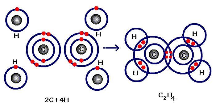 Formation of Carbon dioxide (CO 2 ): Valence electron of carbon = 4 Valence electron of oxygen = 6 In carbon dioxide two double covalent bonds are formed.