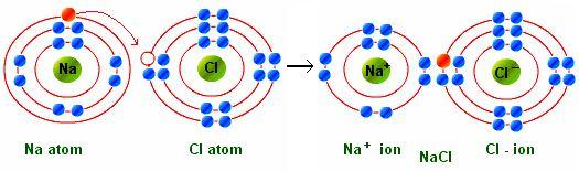 Sodium has one valence electron and chlorine has seven valence electrons.