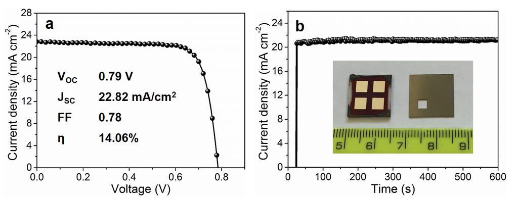 Figure S13. The typical J-V characteristic (a) and steady-state photocurrent measurement (b) of the MA 0.5 FA 0.5 PbPb 0.75 Sn 0.25 I 3 PVSCs with device area of 10 mm 2 measured under AM 1.