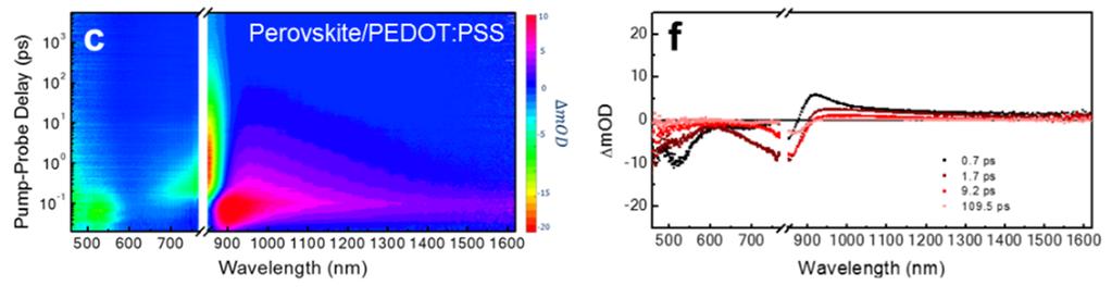 transient absorption spectra for the perovskite films