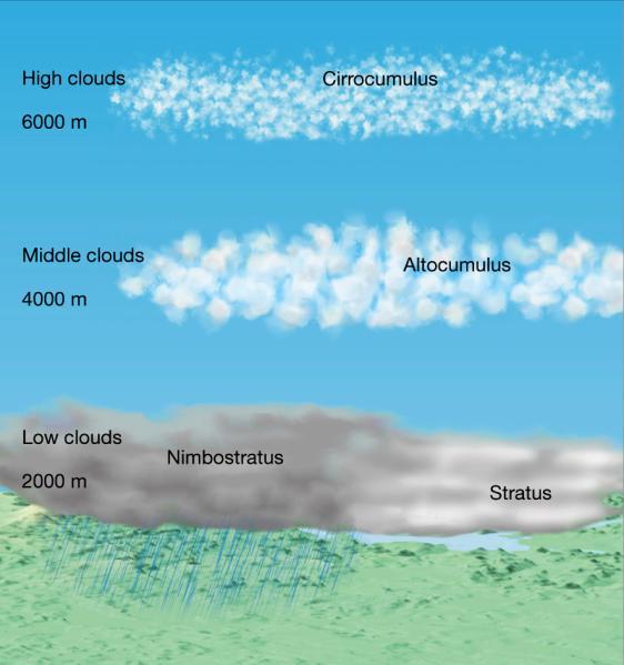 Cloud Classification: Height High Clouds Bases at or above 6,000m (20,000 ft) Cirrus Cirrostratus Cirrocumulus Low temperatures and little water vapor Clouds appear thin and white Composed mostly of