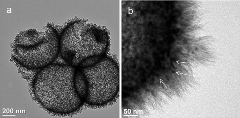 [13] Synthesis of CuO and Cu 3 N nanoparticles on the surface of hollow silica spheres (labeled CuO on SiO 2 and Cu 3 NonSiO 2 ) from the CuSiO 3 spheres is schematically shown in Figure 7.