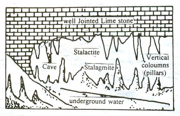 circulating underground water on limestone. They are found near Dehradun in Uttarakhand and in Almora in Kumaon Himalayas.