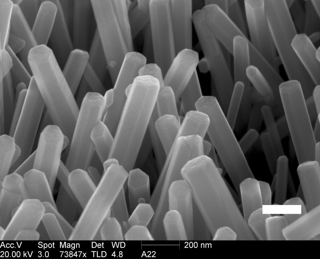 index (n = 2), and its morphology. ZnO nanowires can be grown via electrodeposition in solution on a variety of conducting or semiconducting substrates.