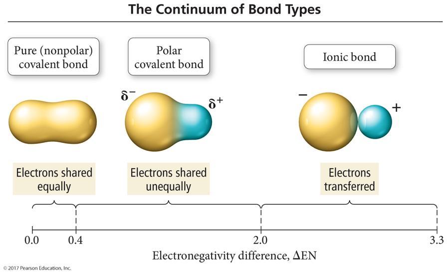 Bond Dipole Moments Dipole moment, µ, is a measure of bond polarity. A dipole is a material with a + and end.