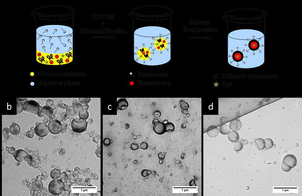 Figure 4.13. (a) Schematics for the preparation of the NCs by solvent evaporation miniemulsion. TEM images of NCs prepared with triblock terpolymers PVFc 8.2 -b-pmma 90.2 -b-pdmaema 1.6 (b), PVFc 6.