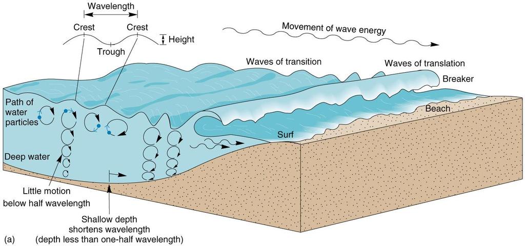 Wave Formation: Speed, fetch,