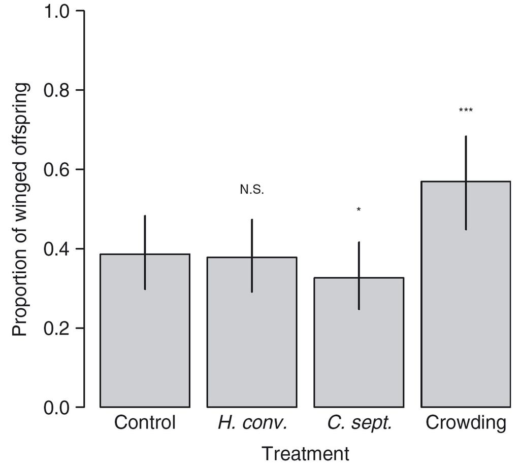 C o m p a r i s o n of the wing polyphenic response of pea aphids 265 Figure 1. Proportion of induced pea aphids for each treatment.