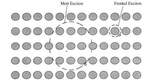 How many kind of excitons?