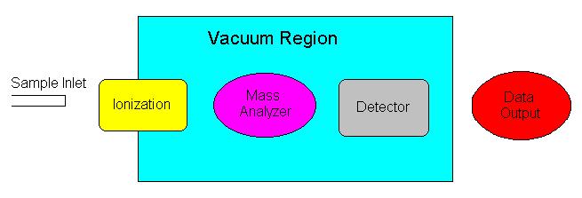 Components of an MS Detector