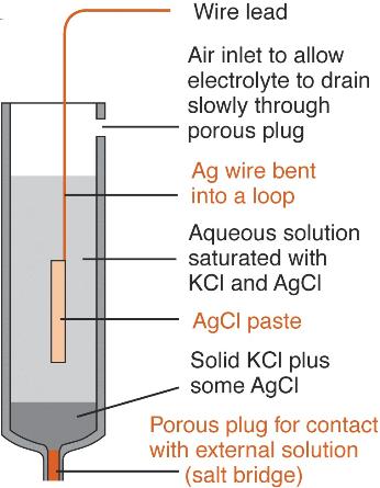 Electrodes of the second kind 11/26 silver chloride Cl AgCl Ag AgCl(s) Ag + + Cl Ag + + e Ag(s)