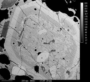 Backscatter electron images of major phenocrysts from both types of bombs. a.