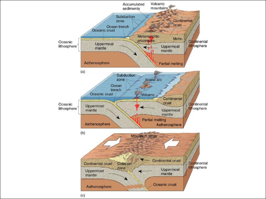 Ocean: Mid ocean ridges Convergent Boundaries Plates