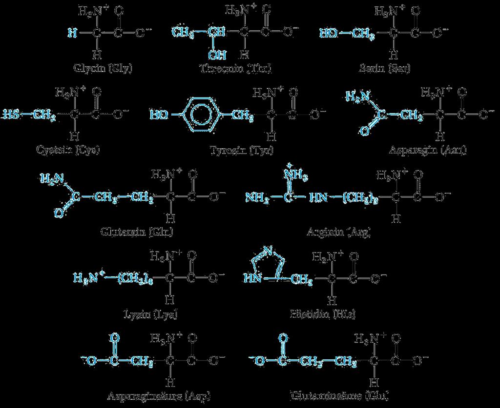 Summary of amino acids