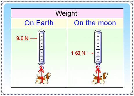 Spring Scale: Measures