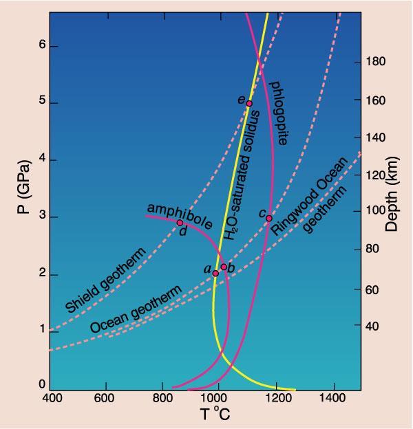 Heating of amphibole-bearing peridotite 1) Ocean geotherm 2) Shield geotherm Figure 10-6 Phase diagram (partly schematic) for a hydrous mantle system, including the H2O-saturated lherzolite solidus