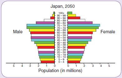 ) What do you think accounts for the markedly expanded age gender pyramid as shown in the graph indicating the population of Zimbabwe in 2000?