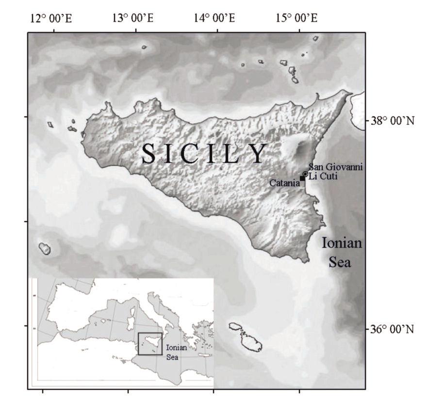 202 DANILO SCUDERI Mediterranean sea and the adjacent Macaronesian area (E-Atlantic) the genus Alvania is the most abundant of rissoid species (Gofas, 1990; Van der Linden, 1993; Hoenselaar, H.J.