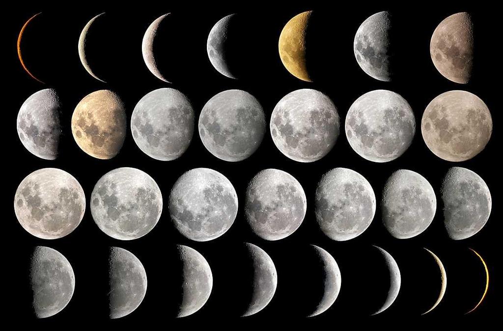 PHASES OF THE MOON 8 PHASES: NEW MOON, WAXING CRESCENT, FIRST QUARTER,