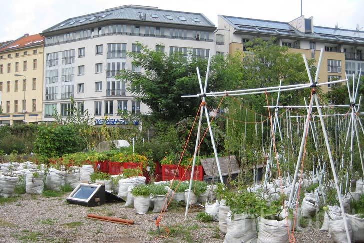 emergent local practices (urban gardening, urban agriculture) No mentioning of conflicts between scientific,