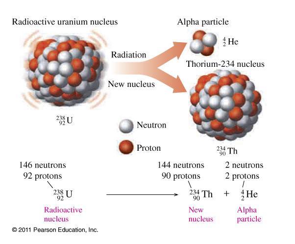 Alpha Decay In alpha decay, a radioactive nucleus emits an alpha particle to form a new nucleus that has a mass