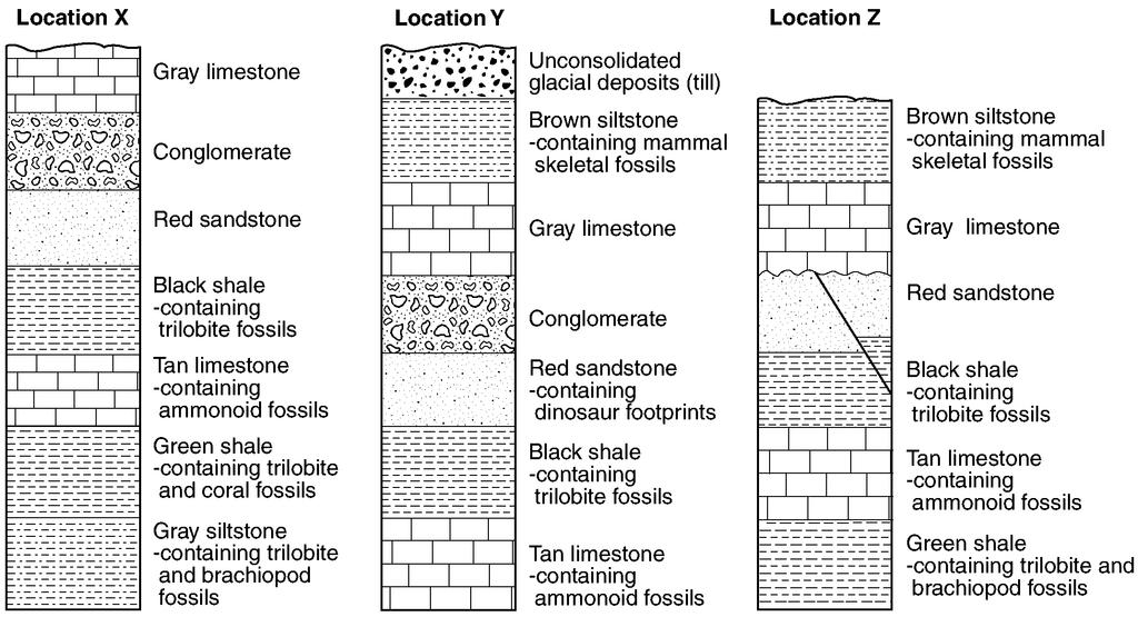 Base your answers to questions 38 through 40 on the cross sections below, which show widely separated outcrops at locations X, Y, and Z. 38. An unconformity can be observed at location Z.