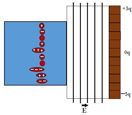 Fig. 4. An Electrical System to sort Charges. The system has Observability Order 10. 2.3.2 Collecting Charges (O O=10, Exponential Functions) NP-Complete problems involve exponential complexity.