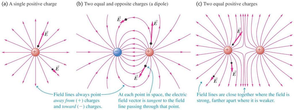 Electric field lines map out
