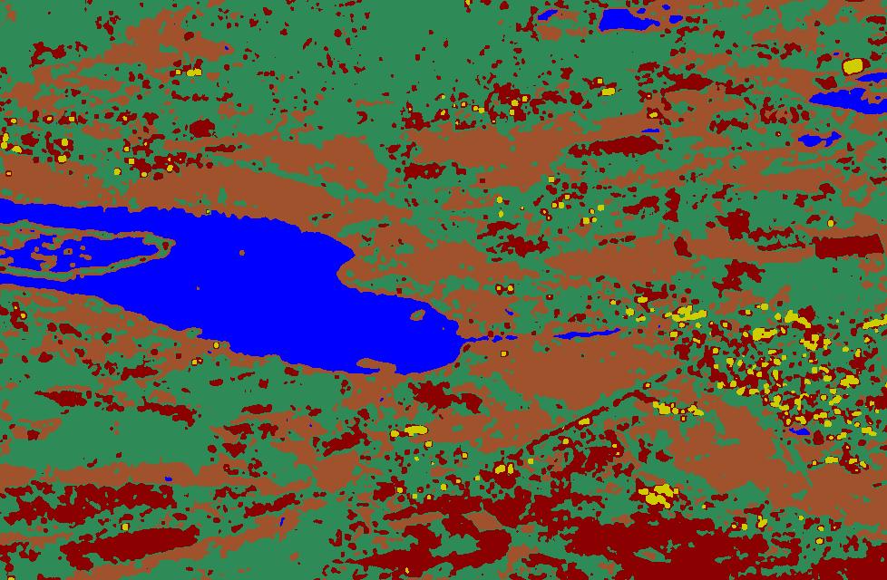 The color code is Water (blue), Bare Soil (brown), Forest (green), Urban (yellow) and Crops (red) 6. REFERENCES 1. Prats-Iraola, Pau; et al.