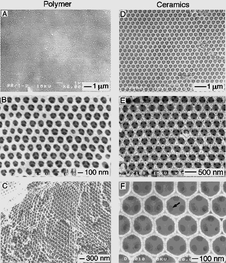 Aufbaureaktionen Herstellung poröser Silica-Strukturen: Templat: Monodisperse Polystyrol-Partikel (A) Infiltration