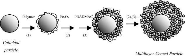 Multilayered Nano Particles Coating of silica with magnetite using a cationic polymer as