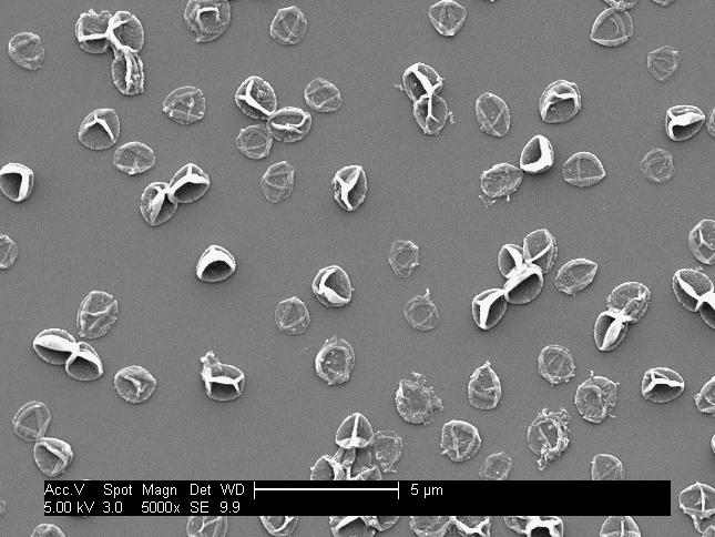 Multilayered Nano Materials: