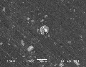 TSM-6460 SEM was used to inspect the clay distribution; the surfaces of specimens were coated with gold using JEOL Fine Coat Ion Sputter JFC-1100 sputtering equipment.