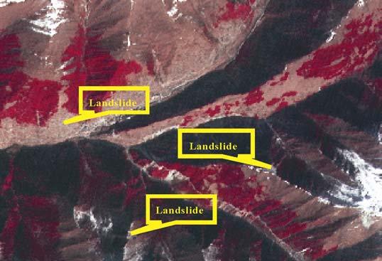 The landslides had the following morphological characteristics: 1) Landslides are mainly located at the two sides of rivers, the headstream and junctions of the main and branch rivers with changeable