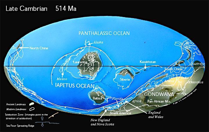 8 billion years ago, Land masses gather to make up a continent called Rodinia Cambrian: Explosion of life All existing phyla come