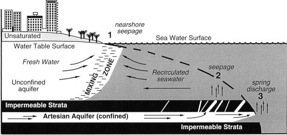 Introduction Submarine Groundwater Discharge (SGD): SGD = direct groundwater outflow across the ocean- land interface into the ocean (recirculated seawater