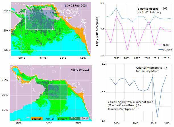 Remote sensing of Noctiluca and diatom blooms using value-added time-series products Fig. 9. (A) Inter-annual variability in N.