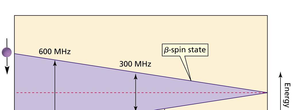 The energy difference between the two spin states ( - and -spins) depends on the