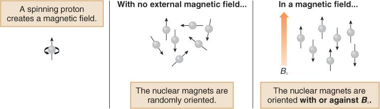 When a charged particle such as a proton spins on its axis, it creates a magnetic field.thus, the nucleus can be considered to be a tiny bar magnet.