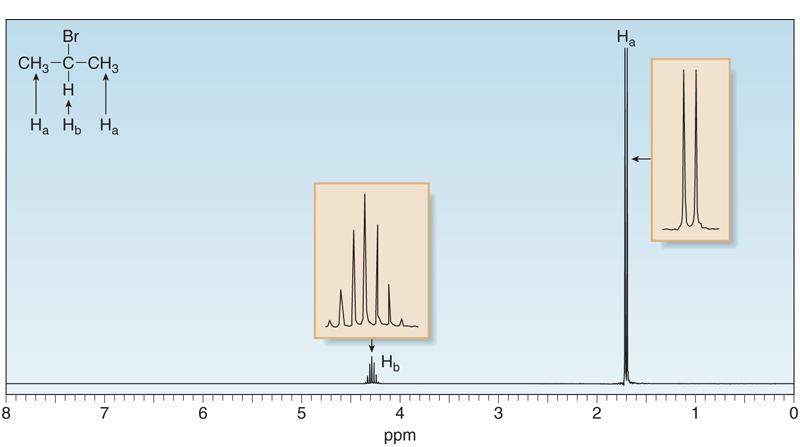 1 H NMR Spin-Spin Splitting Whenever two (or three) different sets of adjacent protons are equivalent to each