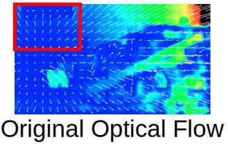 analysis of the optical